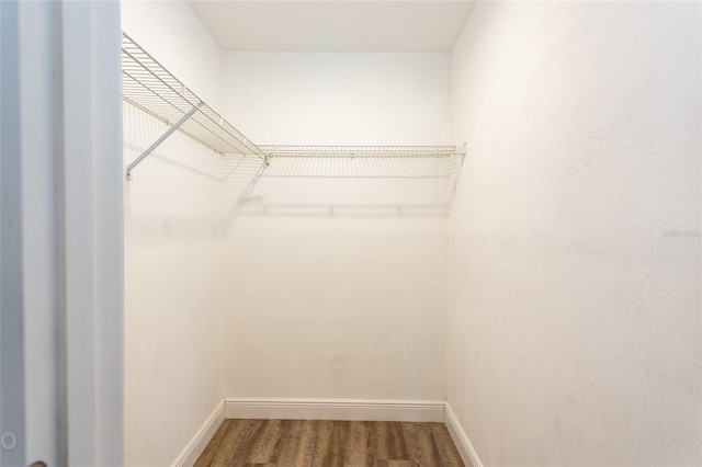 spacious closet featuring hardwood / wood-style floors