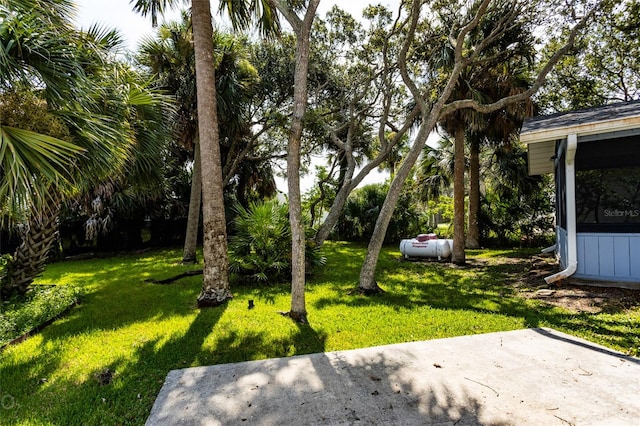 view of yard featuring a patio