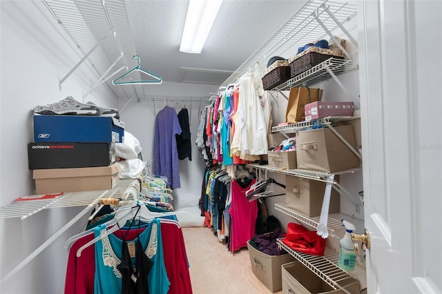 spacious closet with carpet and attic access