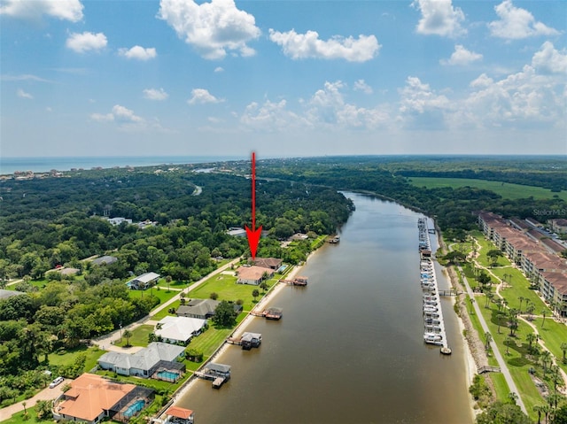 drone / aerial view with a water view and a forest view