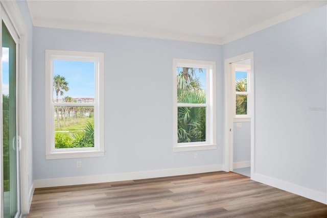 empty room featuring baseboards, wood finished floors, and a healthy amount of sunlight