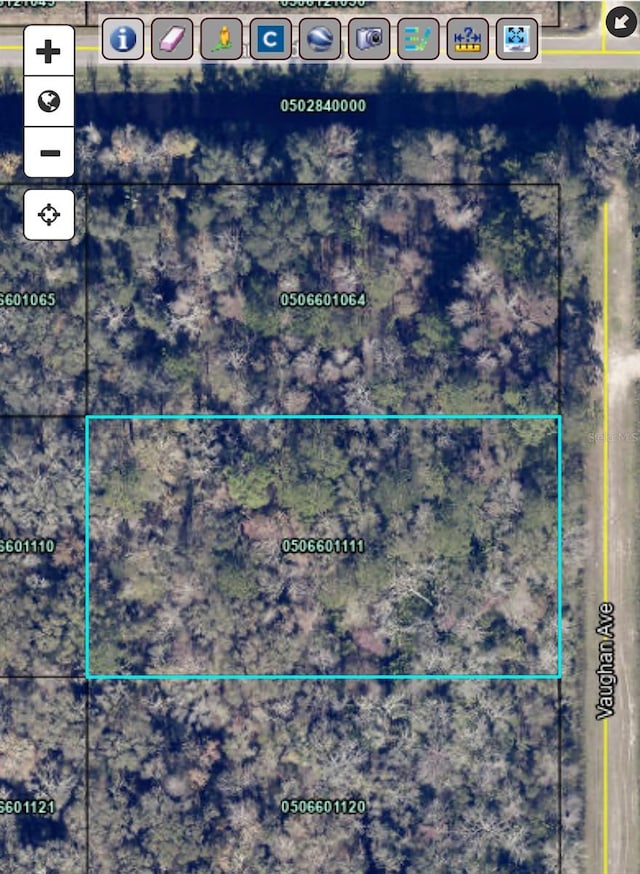 10415 Vaughan Ave, Hastings FL, 32145 land for sale