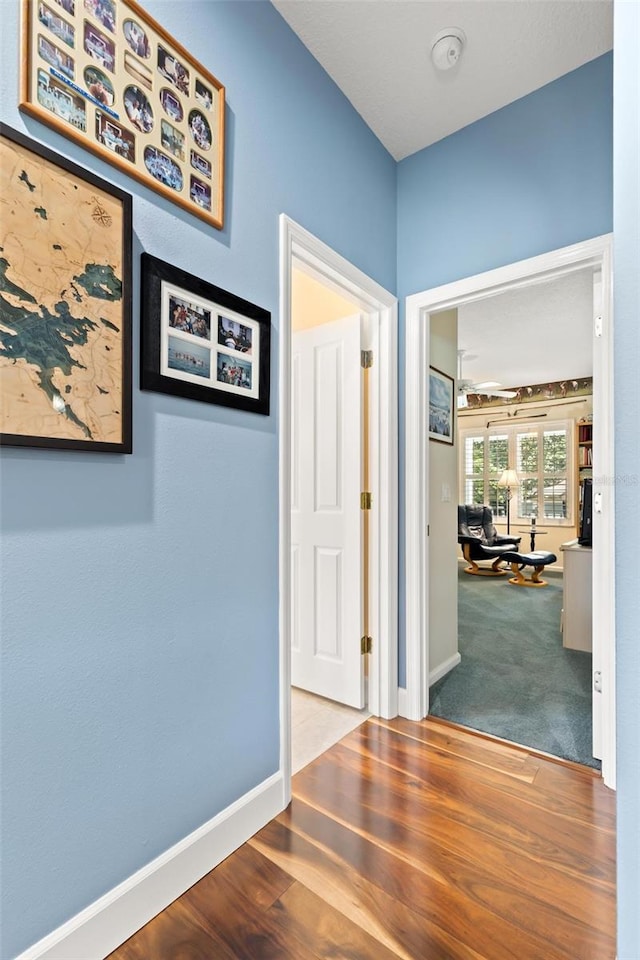 corridor featuring carpet flooring