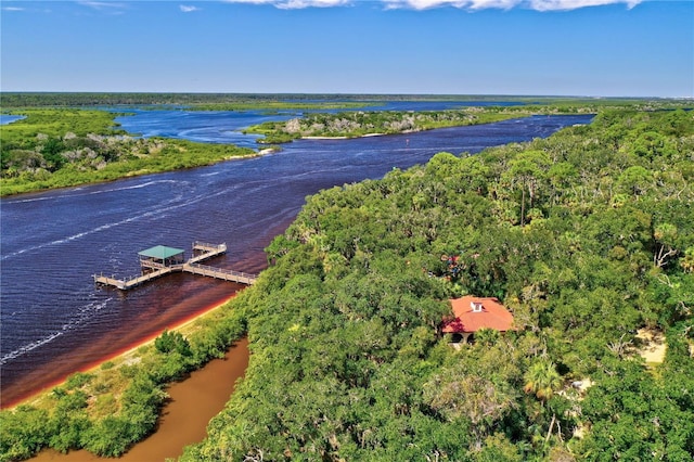 bird's eye view featuring a forest view and a water view