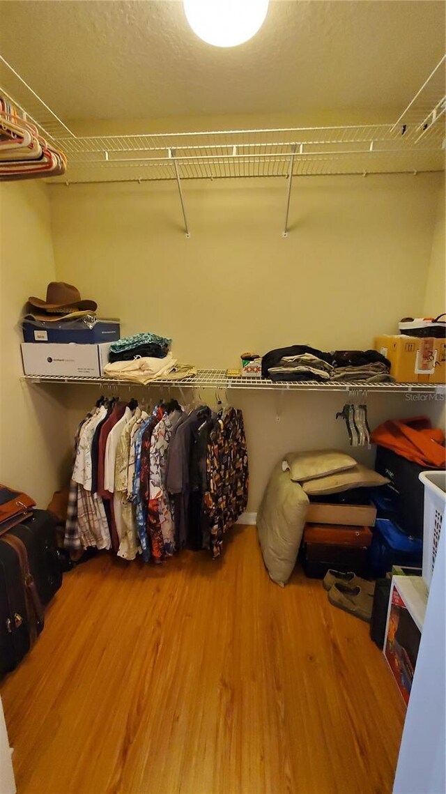 spacious closet with wood-type flooring