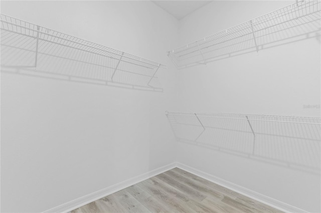 walk in closet with light wood-style floors