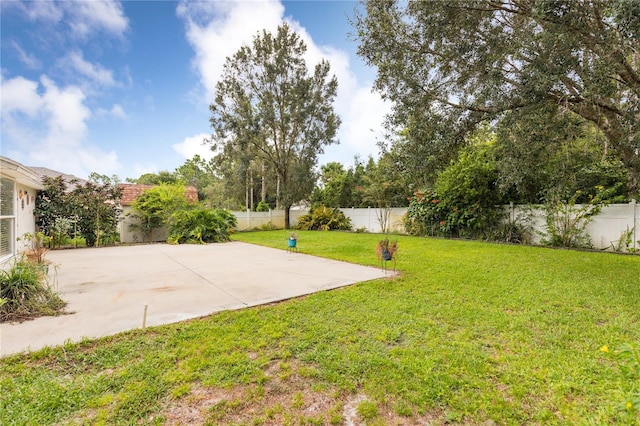 view of yard with a fenced backyard and a patio