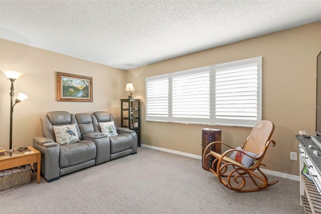 living room featuring a textured ceiling and light colored carpet