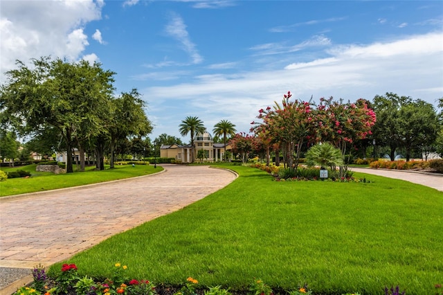 surrounding community with curved driveway and a yard