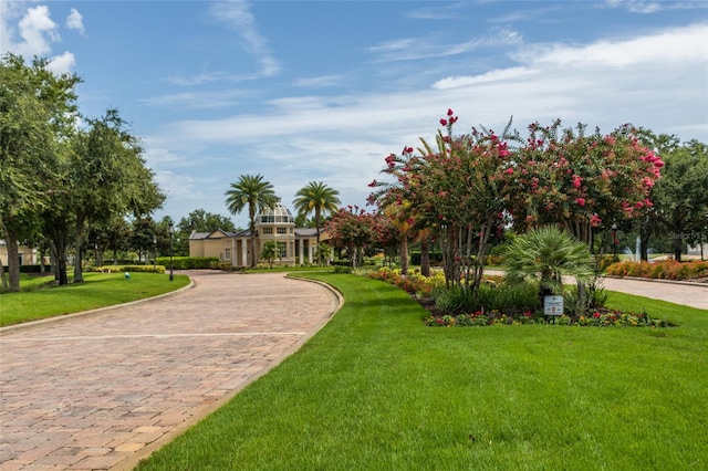 view of property's community with curved driveway and a yard