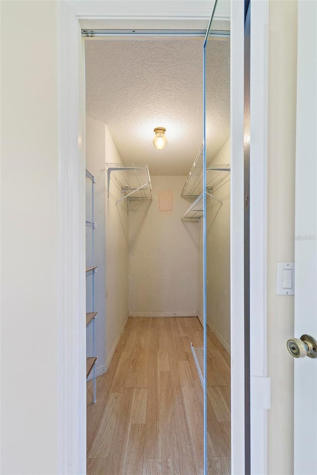 spacious closet with hardwood / wood-style flooring