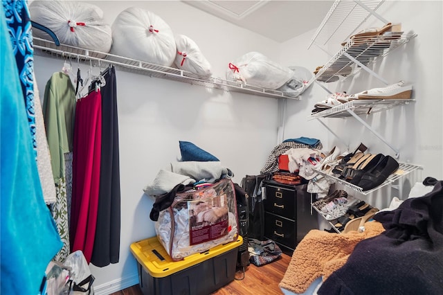 spacious closet with hardwood / wood-style flooring