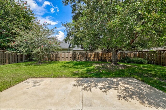 view of yard with a patio