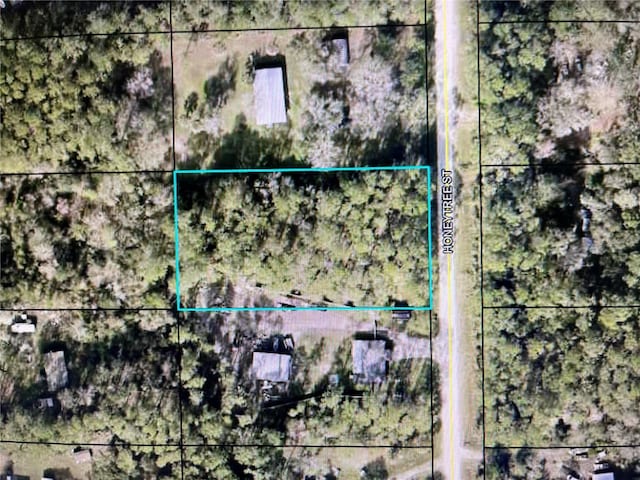 1604 Honeytree St, Bunnell FL, 32110 land for sale