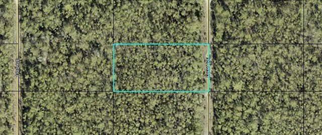 XXX Ebert Ave, Hastings FL, 32145 land for sale