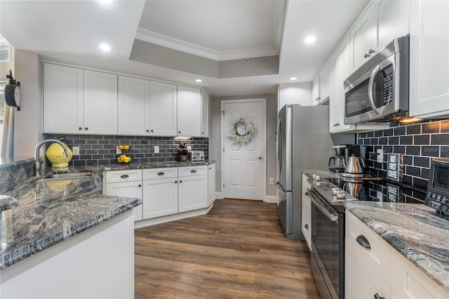 kitchen with appliances with stainless steel finishes, sink, dark hardwood / wood-style flooring, and a tray ceiling