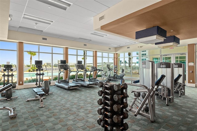 exercise room with carpet and a paneled ceiling