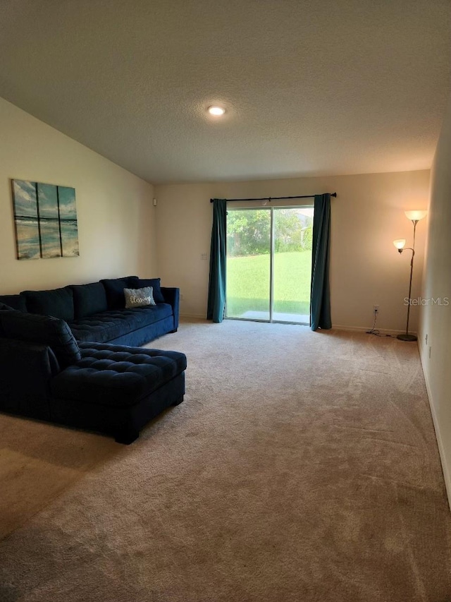 living room featuring a textured ceiling and carpet floors