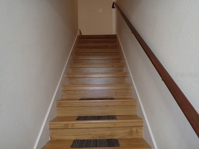 staircase featuring wood-type flooring