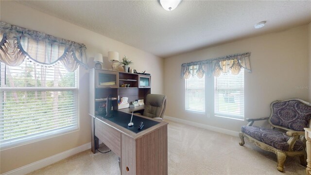 office featuring a wealth of natural light and carpet flooring