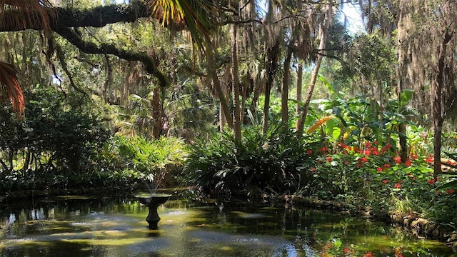 view of nature with a water view and a forest view