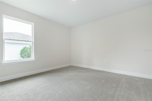 spare room with carpet floors