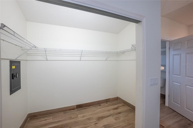 walk in closet featuring electric panel and hardwood / wood-style flooring