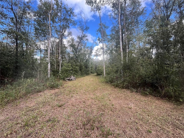 4760 Division St, Hastings, FL 32145