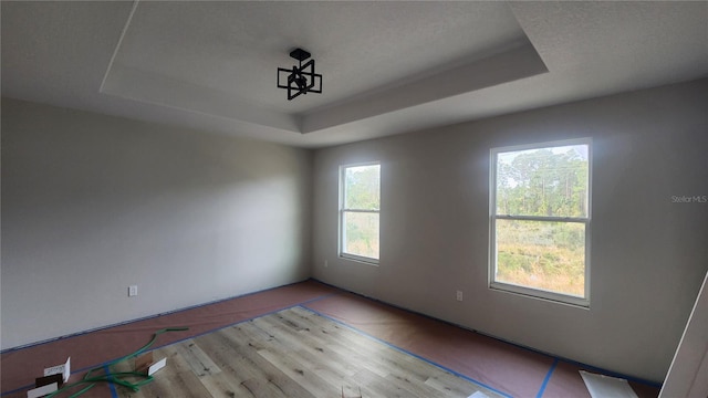 unfurnished room with light wood-type flooring and a tray ceiling