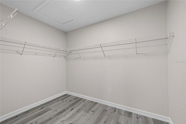 18 Serbian Bellflower Trl, Palm Coast, FL 32164 - photo 36
