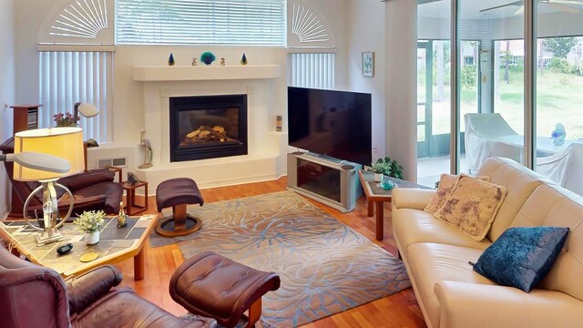 living room featuring hardwood / wood-style floors and plenty of natural light