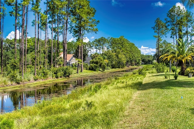 view of community featuring a water view