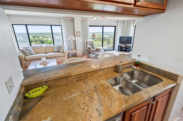 kitchen with a healthy amount of sunlight, sink, and light stone countertops