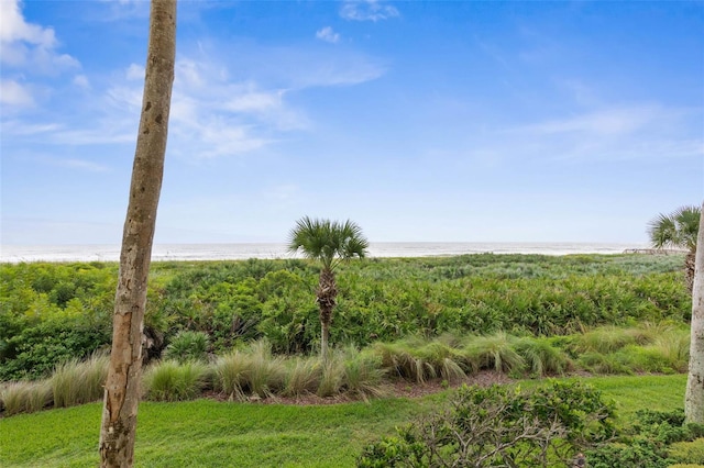 view of local wilderness with a water view