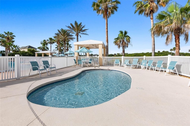 view of swimming pool with a patio