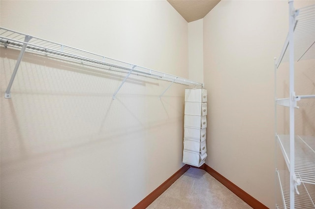 walk in closet with carpet floors