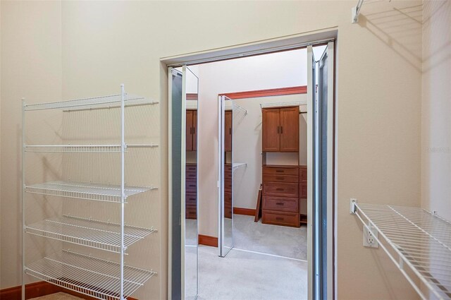 view of walk in closet