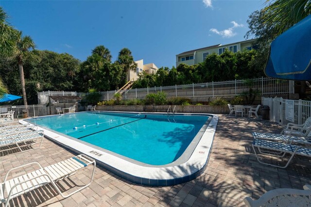 view of swimming pool with a patio area