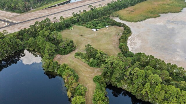 38 Eagle Lake Dr, Flagler Beach, FL 32136 - photo 4