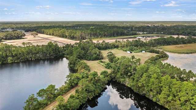 38 Eagle Lake Dr, Flagler Beach, FL 32136 - photo 11