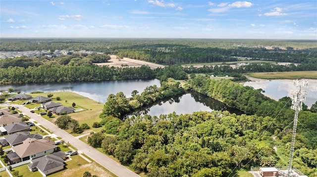 38 Eagle Lake Dr, Flagler Beach, FL 32136 - photo 12