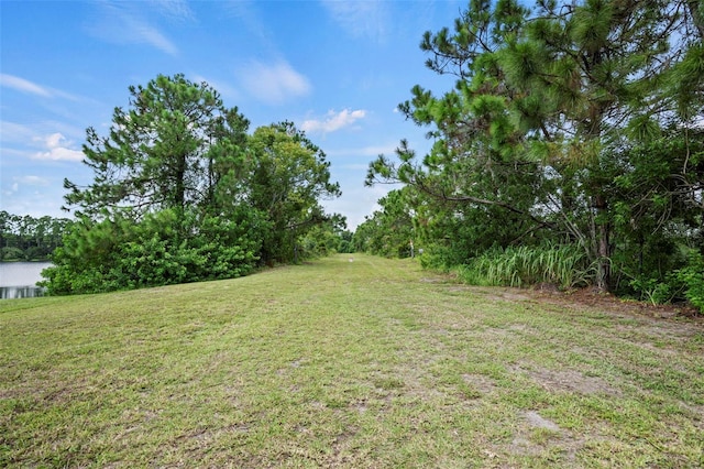 38 Eagle Lake Dr, Flagler Beach, FL 32136 - photo 14