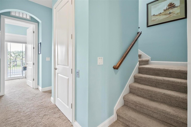 stairway with carpet floors