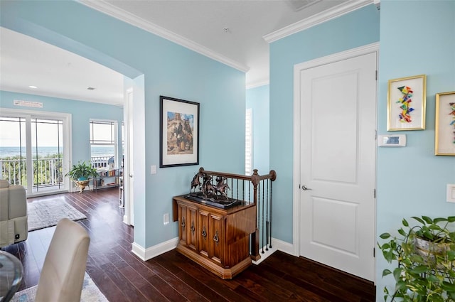 corridor featuring crown molding and dark hardwood / wood-style floors