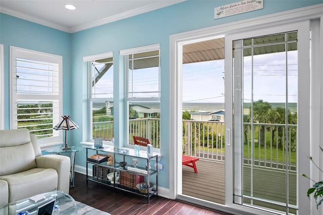 doorway with crown molding, dark hardwood / wood-style flooring, and plenty of natural light