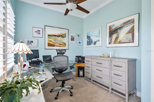 carpeted office with ceiling fan and ornamental molding