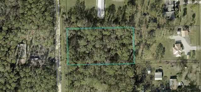 1323 Honeytree St, Bunnell FL, 32110 land for sale