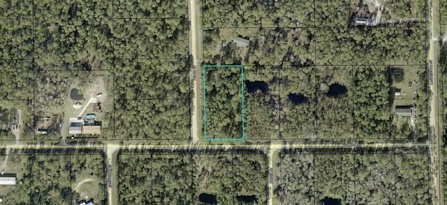 5118 Willow Ln, Bunnell FL, 32110 land for sale