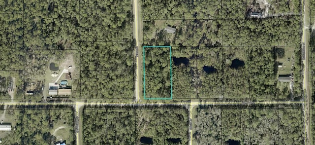 5118 Willow Ln, Bunnell, FL 32110 - photo 1