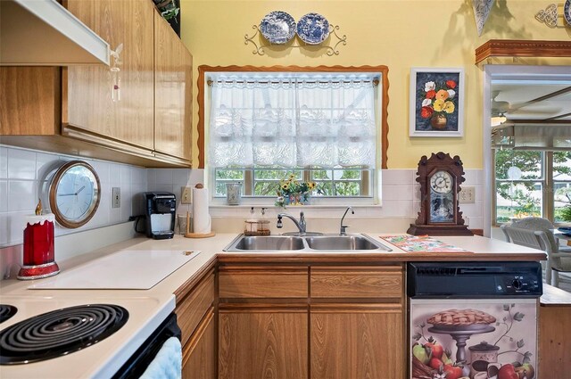 kitchen featuring premium range hood, a healthy amount of sunlight, sink, and decorative backsplash